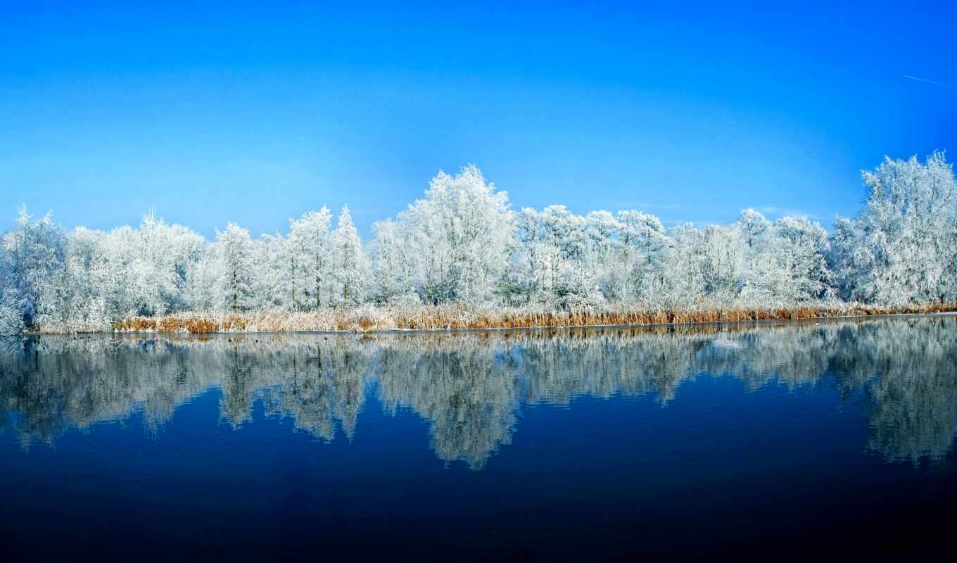 природа, небо, синий, дерево, снег, вода, зима, отражение, дневной