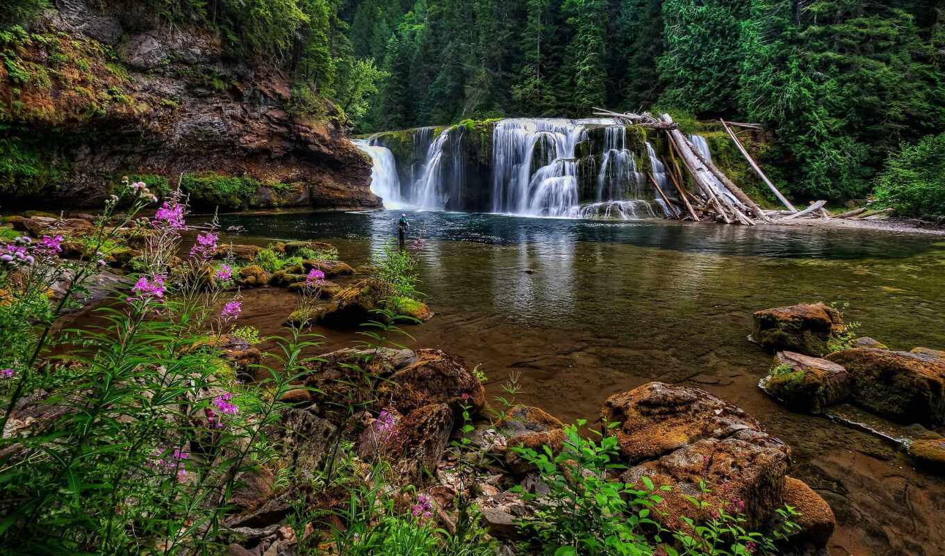 picture, forest, river, waterfall