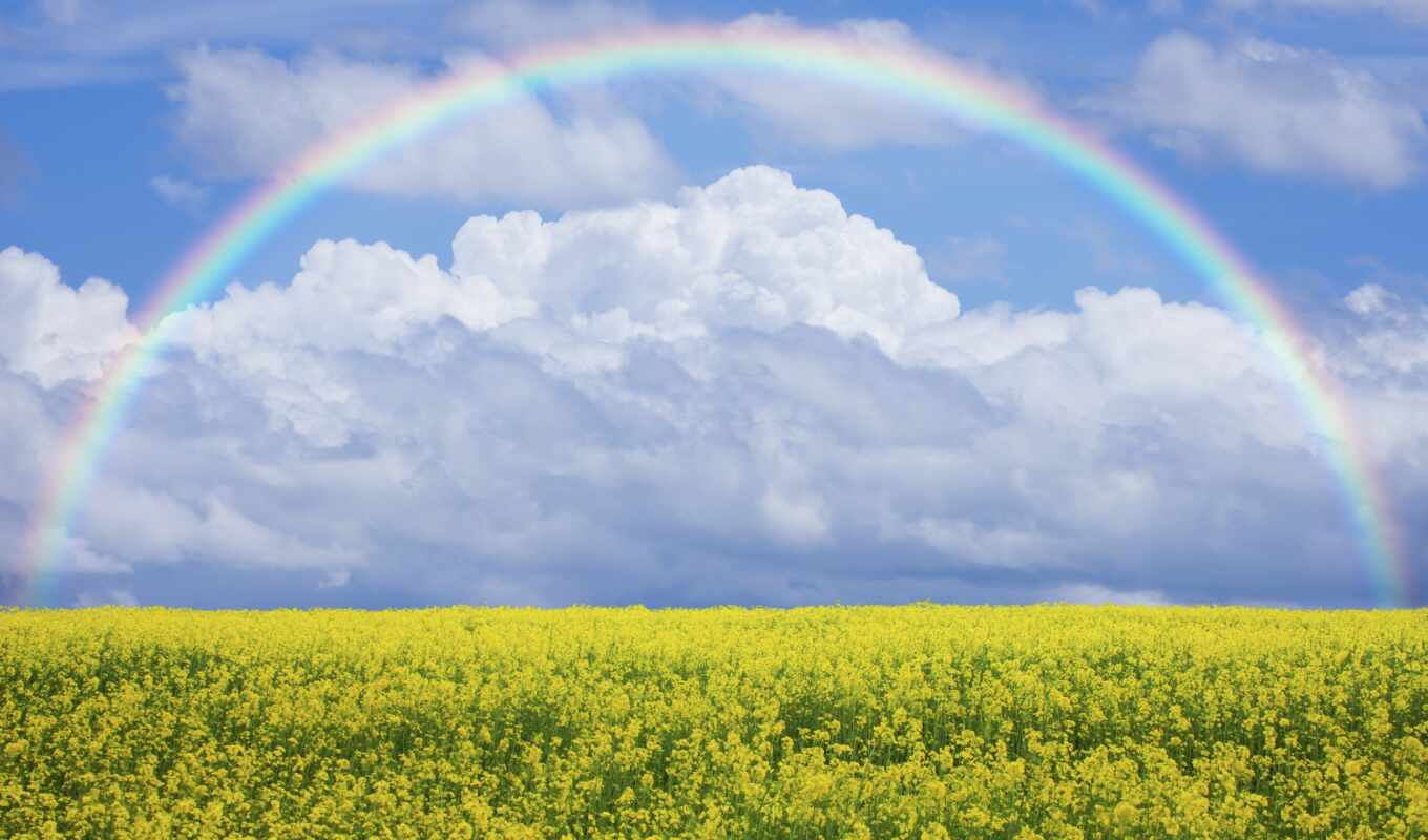 nature, sky, flowers, picture, rainbow, field, to find, adobe, thous
