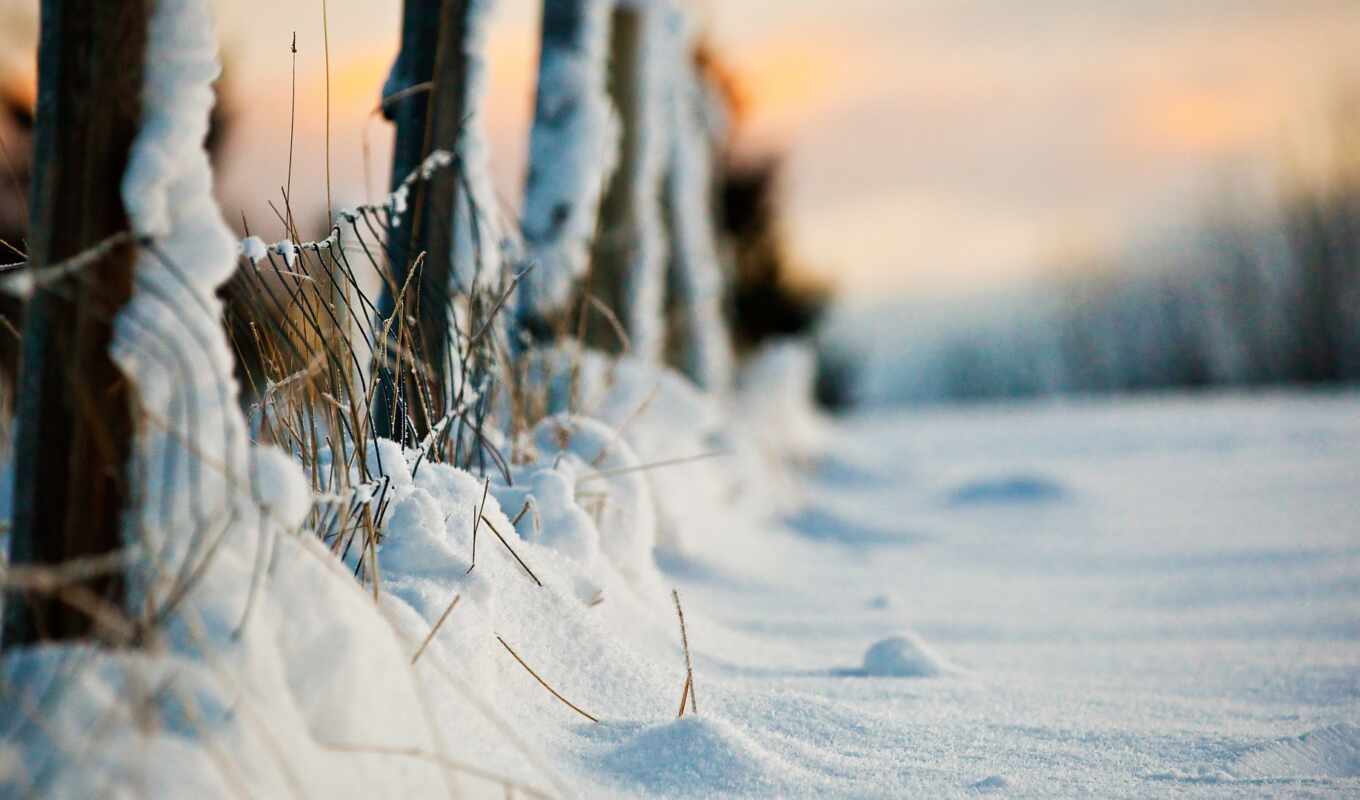 winter, забор