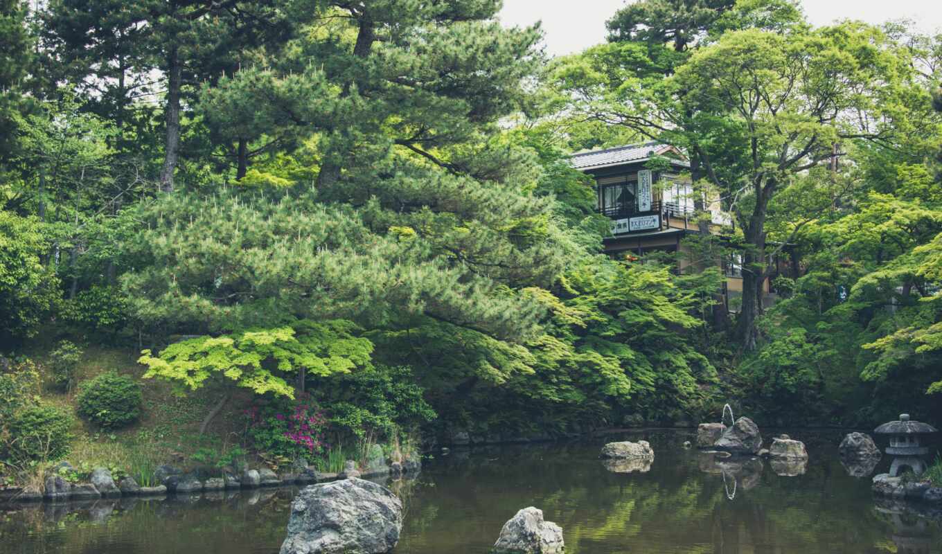 house, japanese, garden, pond