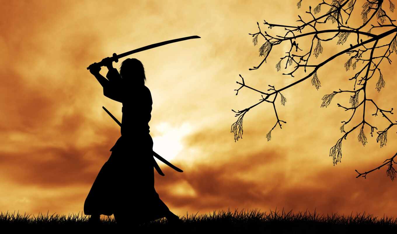 самурай, меч, прокатиться, бросок