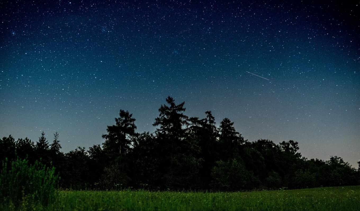 sky, night, field