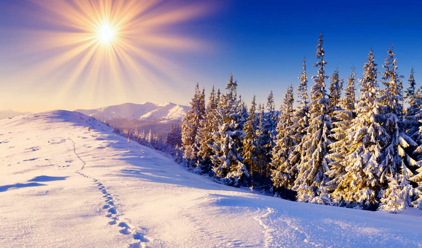 пейзажи -, снег, winter, зимние, добрым, утром, зимы, трудом, зимним