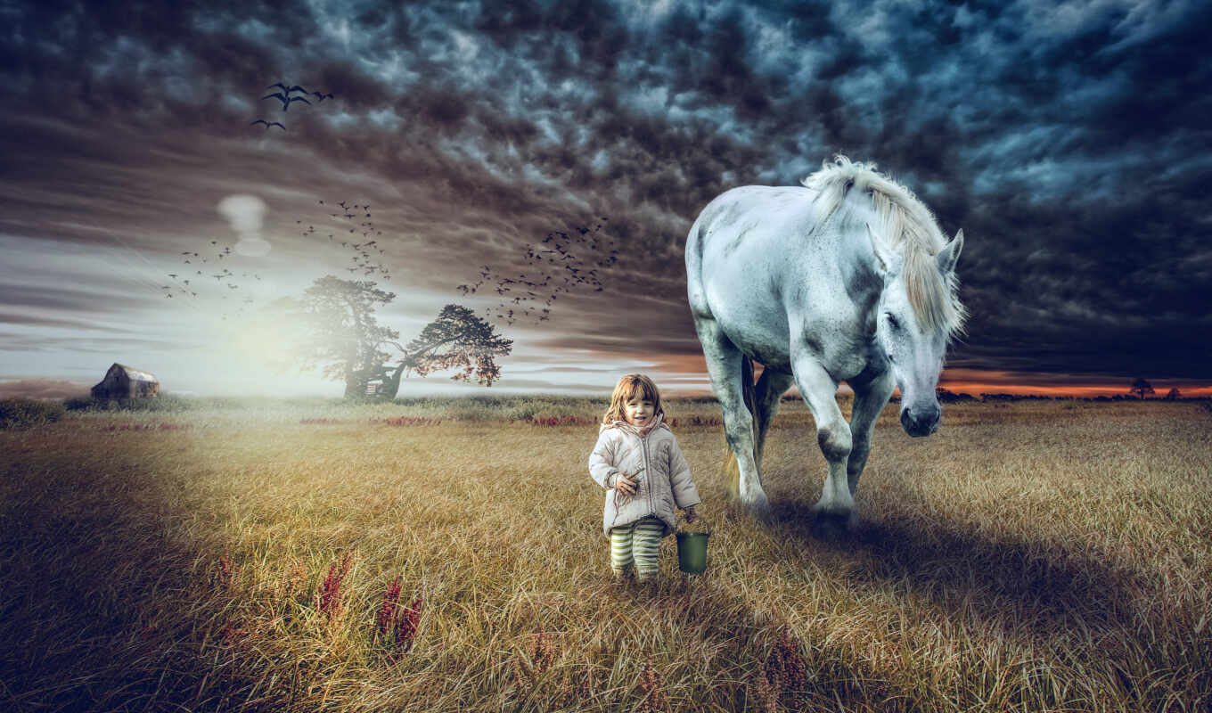 лошадь, поле, прогулка, photoshop, ребенок, rural