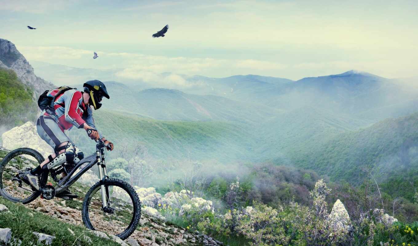 mountain, bike