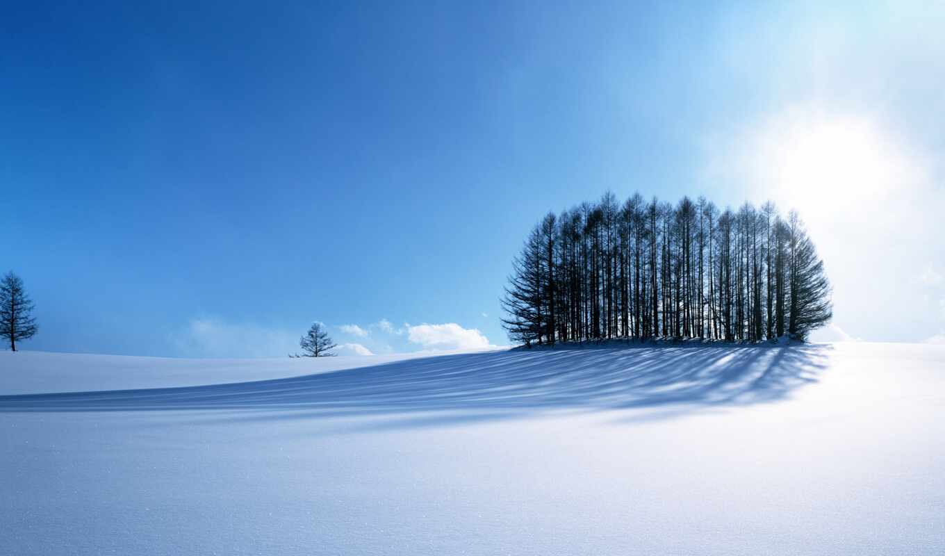 tree, snow, field, funart