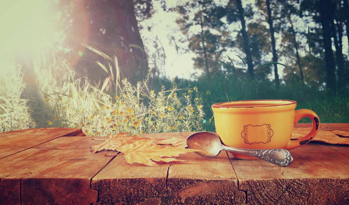 coffee, со, изображение, листья, фронтовой, осень, cup