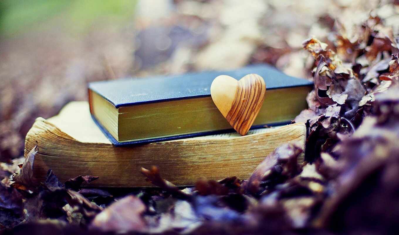 love, лист, книга, осень