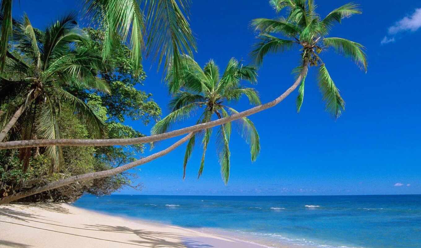 beach, island, fiji