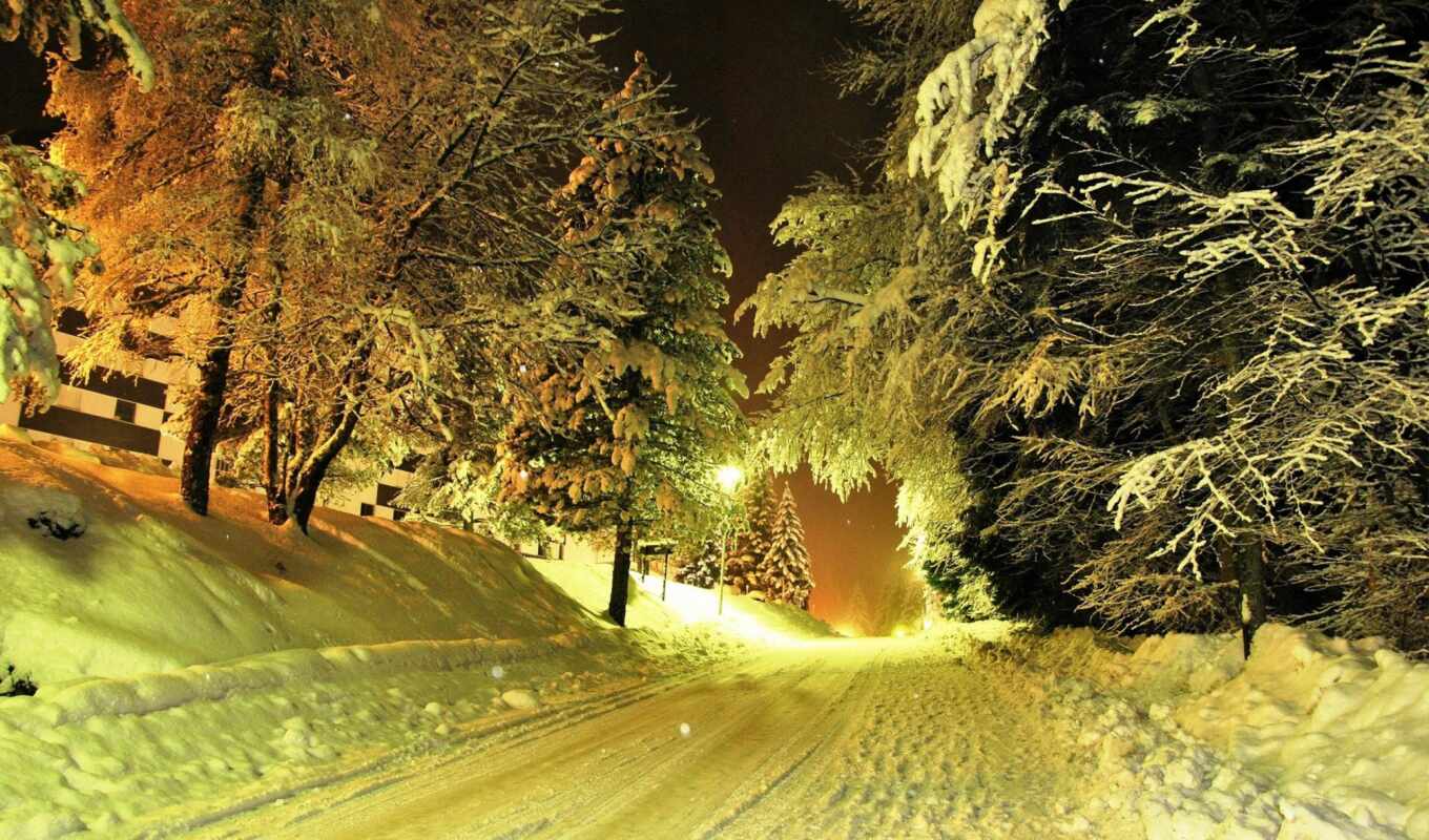 nature, picture, snow, winter, road, years, time, trees