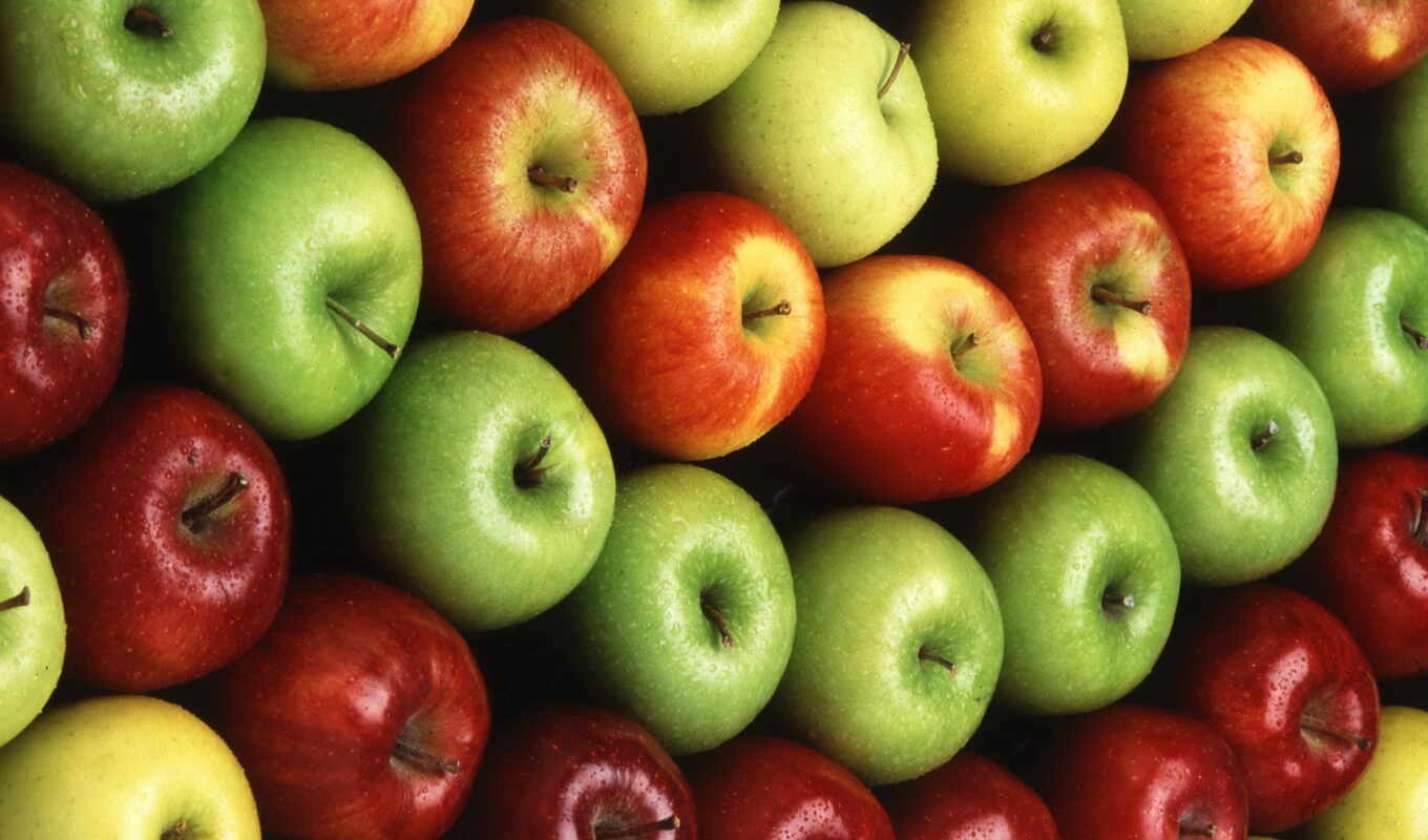 зимние, саду, яблок, яблони, сорта, сортов, яблоня, glad, яблонь