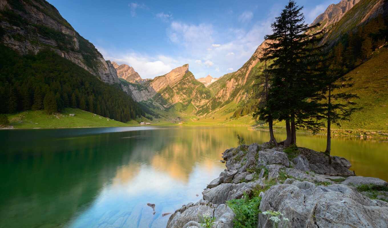 озеро, природа, дерево, гора, rock, landscape, швейцария, seealpsee, appenzell