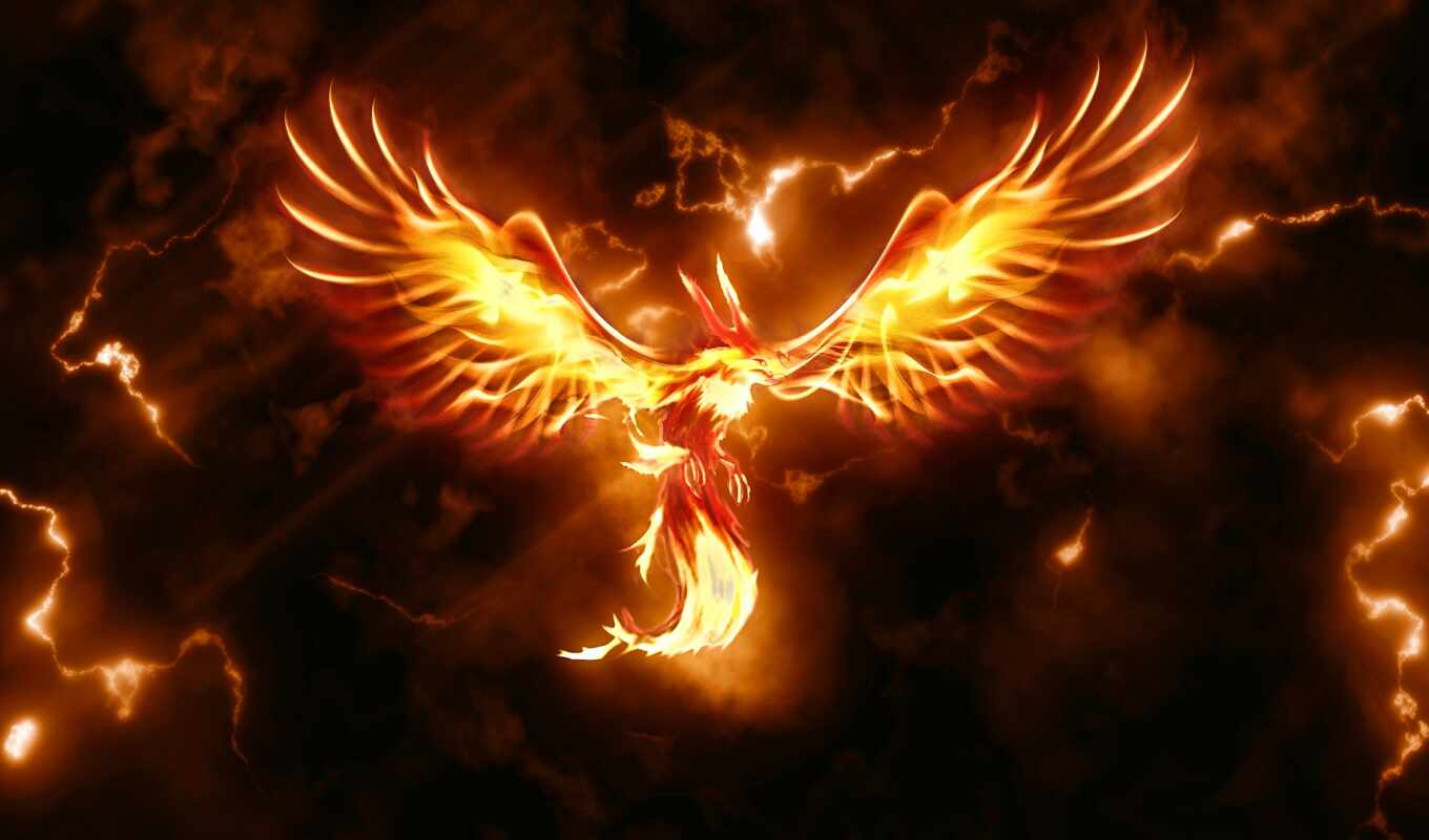 bird, phoenix, fiery, sparrowhawk, rarogii