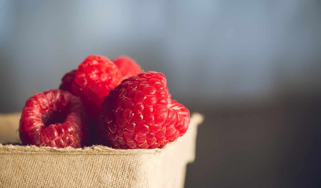 raspberry, berry, fotomalina