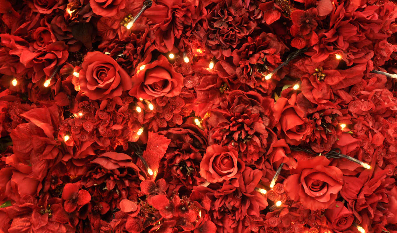 art, цветы, роза, red, красное, pinterest, взлёт, persian, canvas, идея