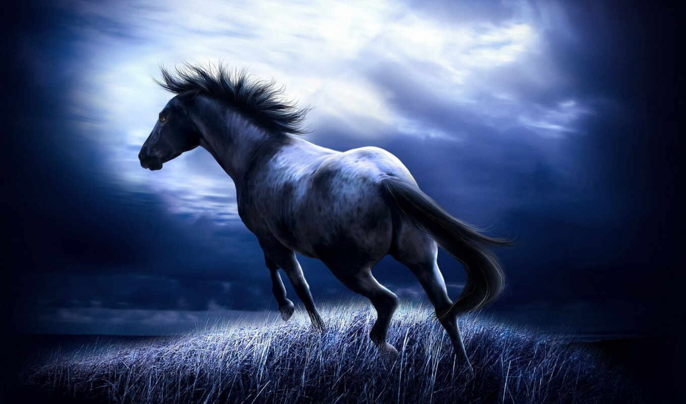 desktop, free, черный, синий, животные, лошадь, dark