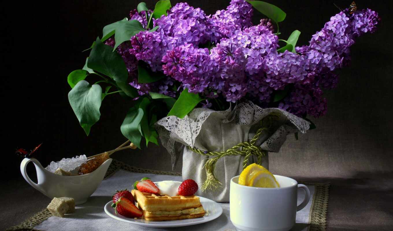 flowers, butterfly, still, lilac, cup, life, strawberry, lila, still-life