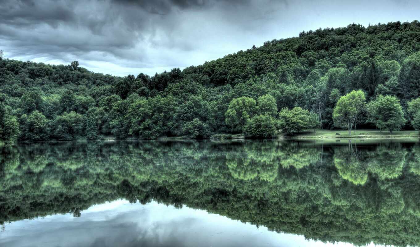 there is, water, forest, river, trees, everyone, reflection, tag, which, the woods