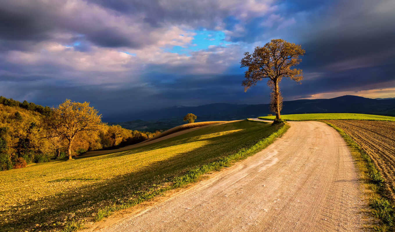 nature, sky, large format, tree, italy, fields