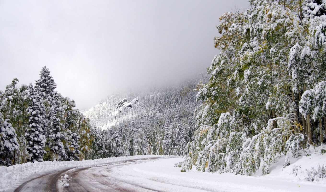 снег, winter, лес, дорога, landscape, images, trees