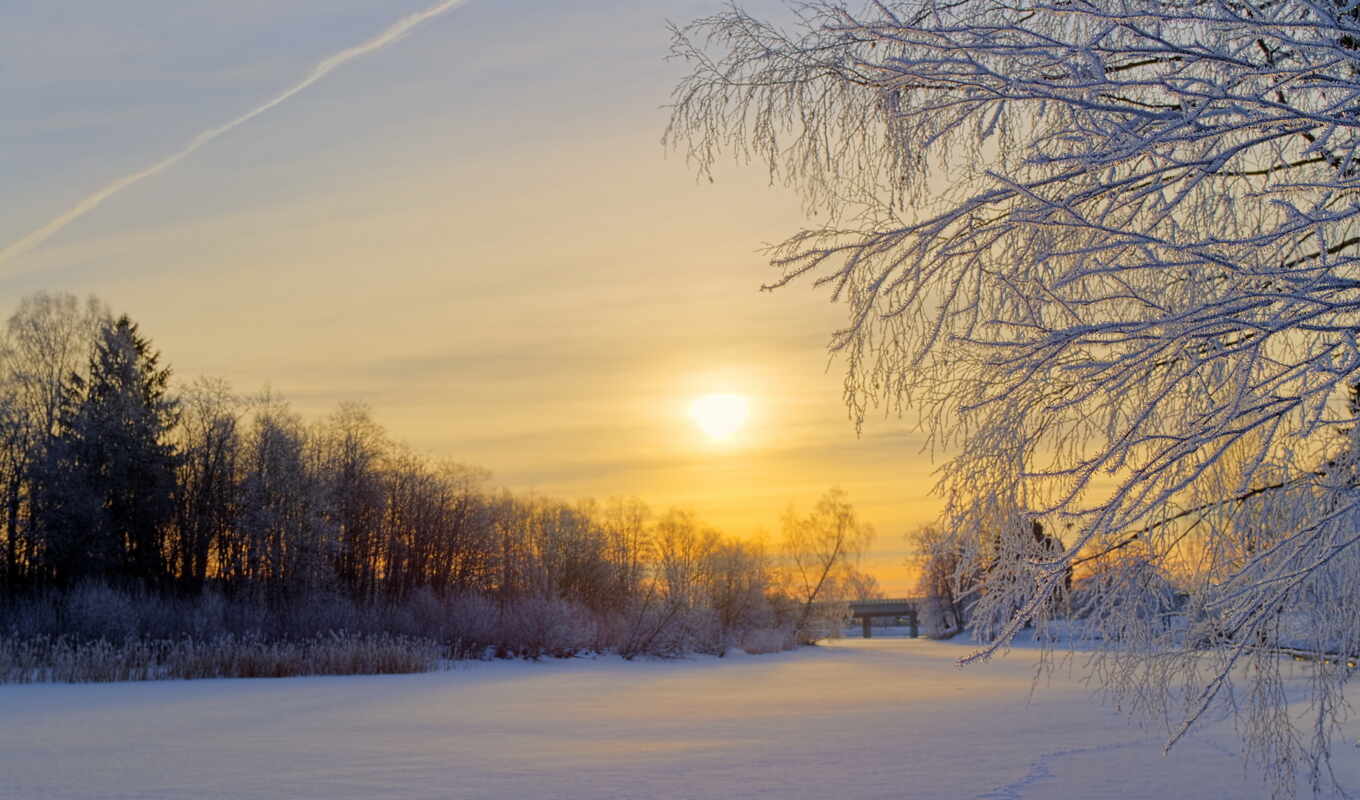 природа, sun, дерево, иней, снег, winter, утро