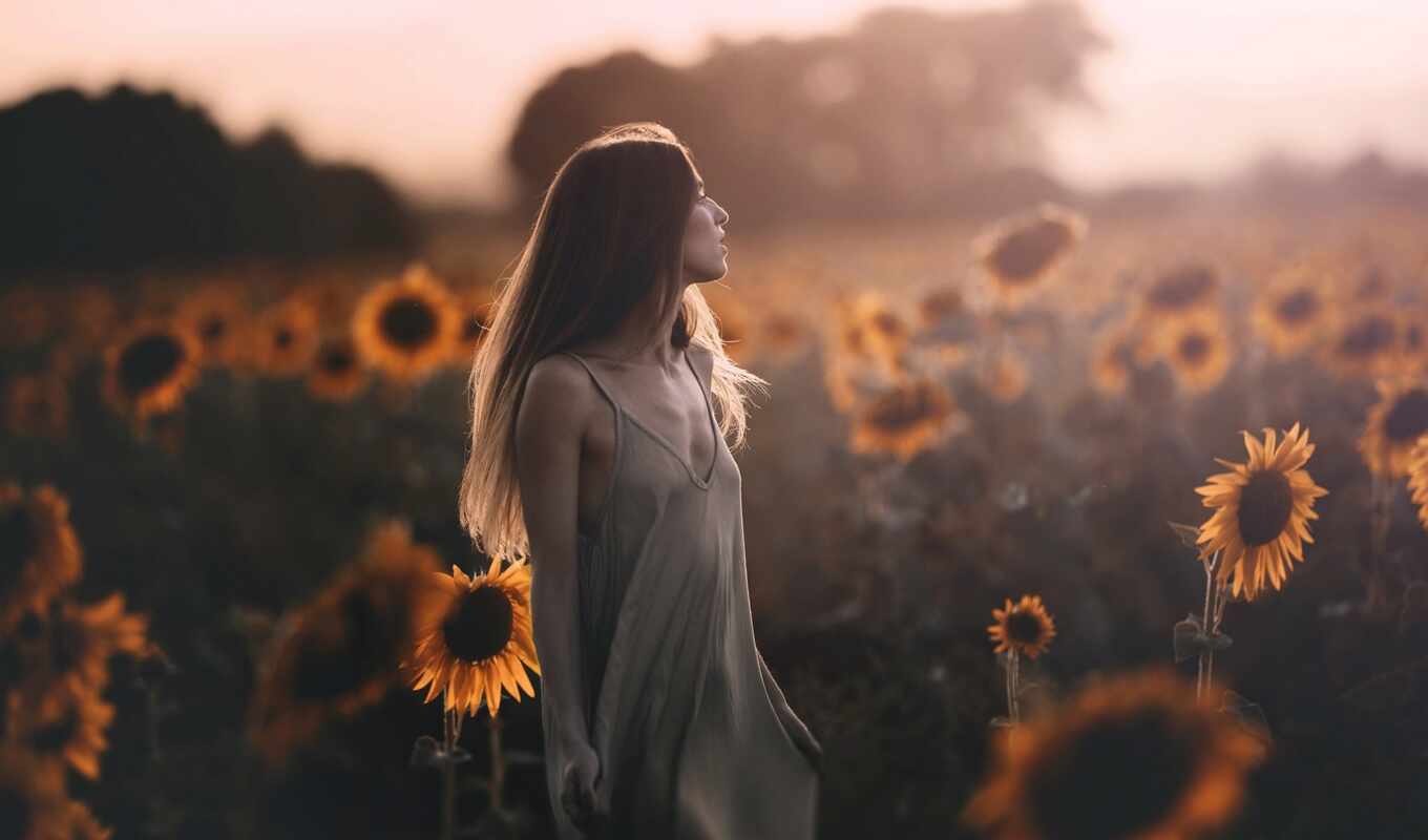 photo, girl, summer, background, field, sunflower, more, even, wallpapermaniac
