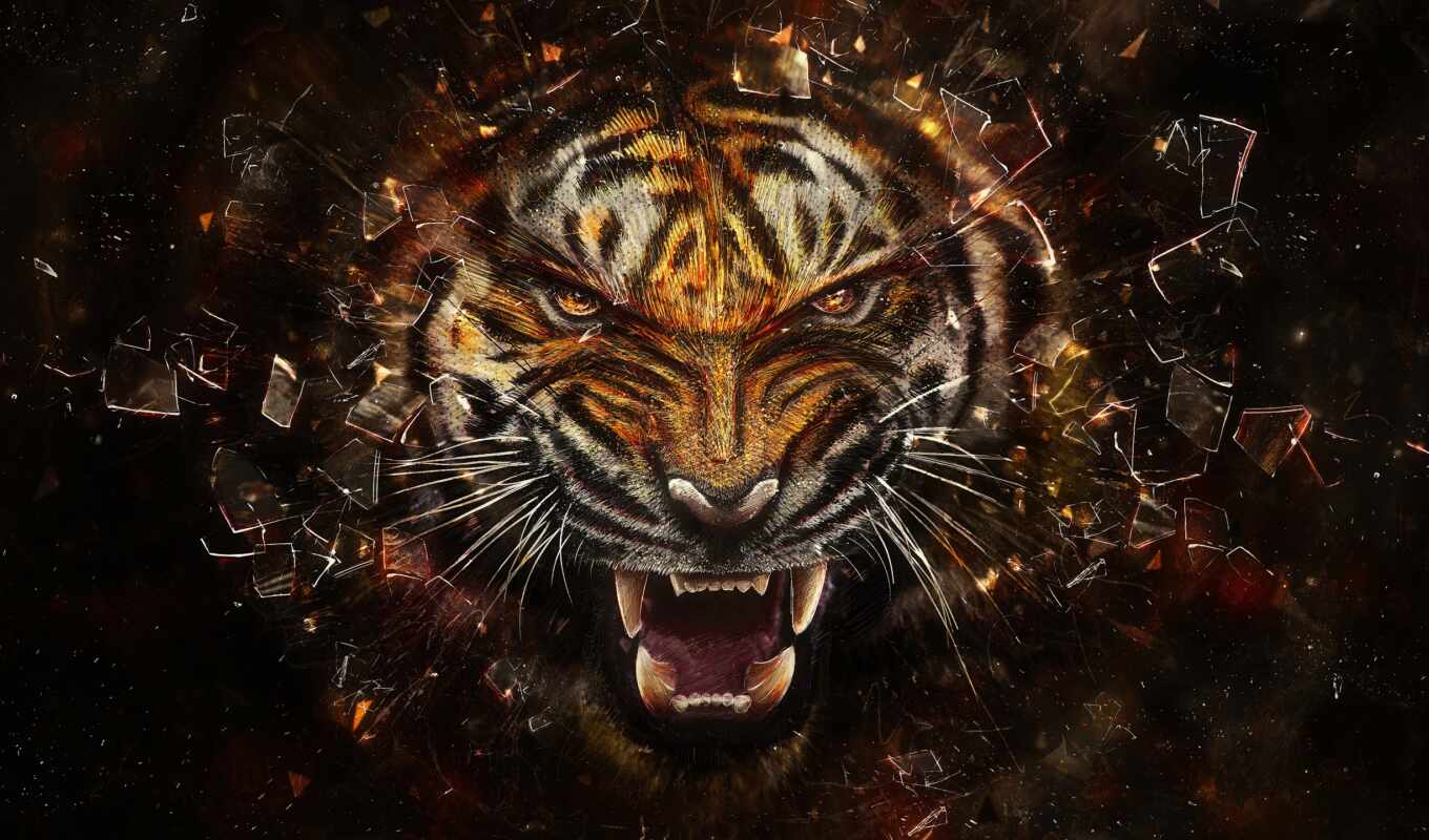 desktop, best, хищник, тигр, wallpapersafari