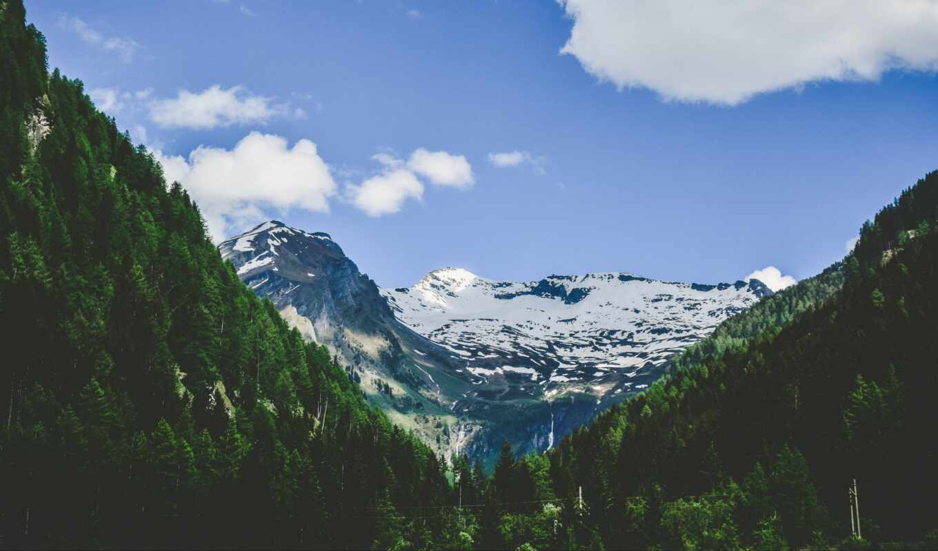 tree, snow, mountain, the alps
