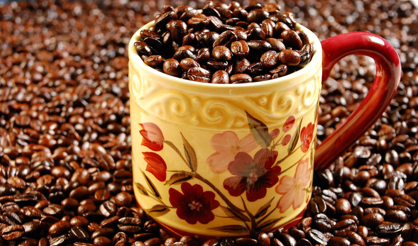 coffee, зерна, город, цена, cup, png, bean, meal, фри, grano, shirokoformatnyi