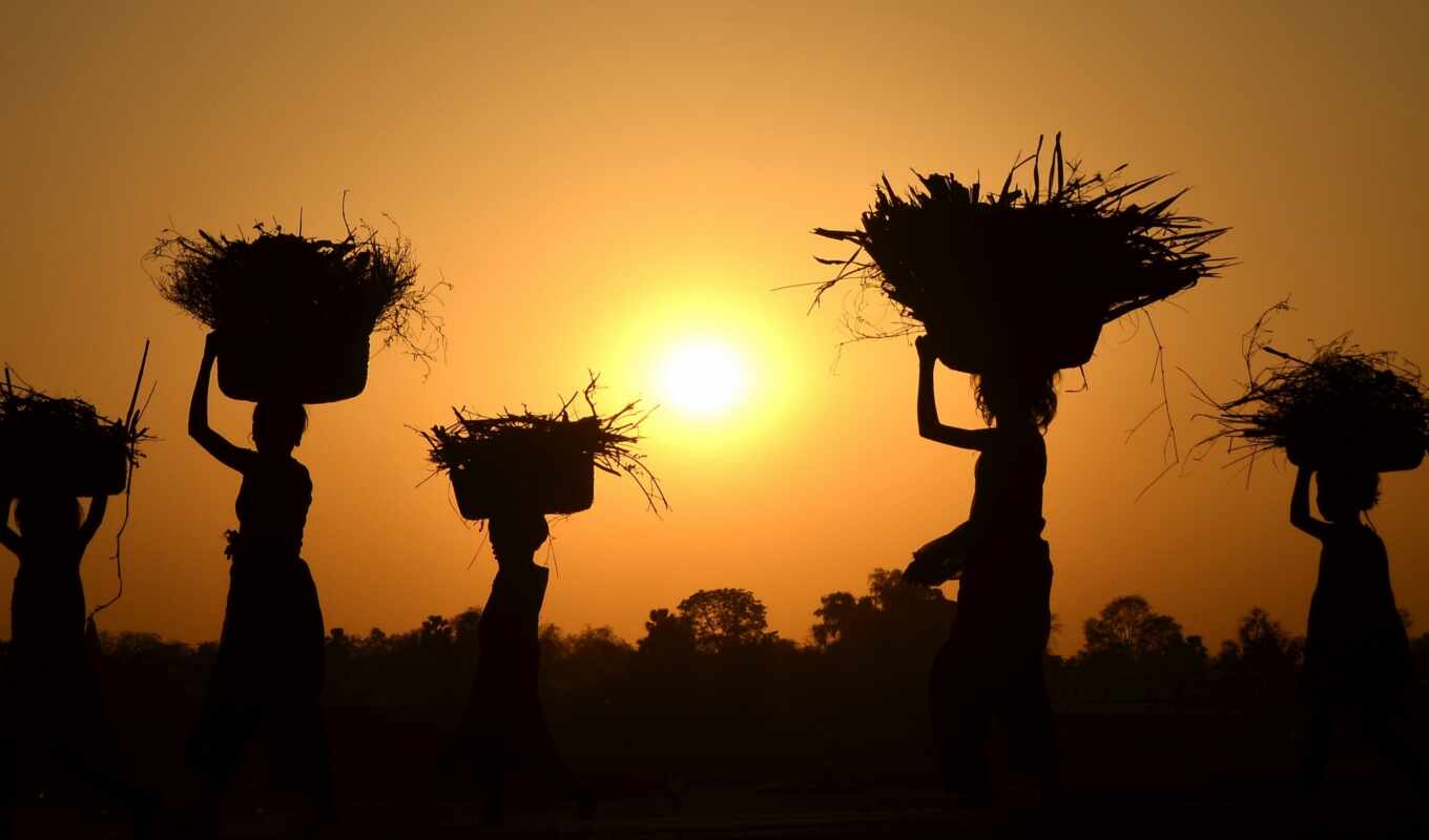 face, woman, vector, sunset, subject matter, a shadow, indian, india, ost, rural, farmers