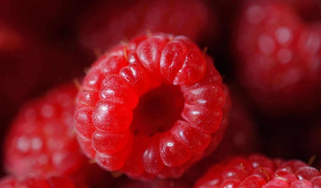 red, raspberry, berry