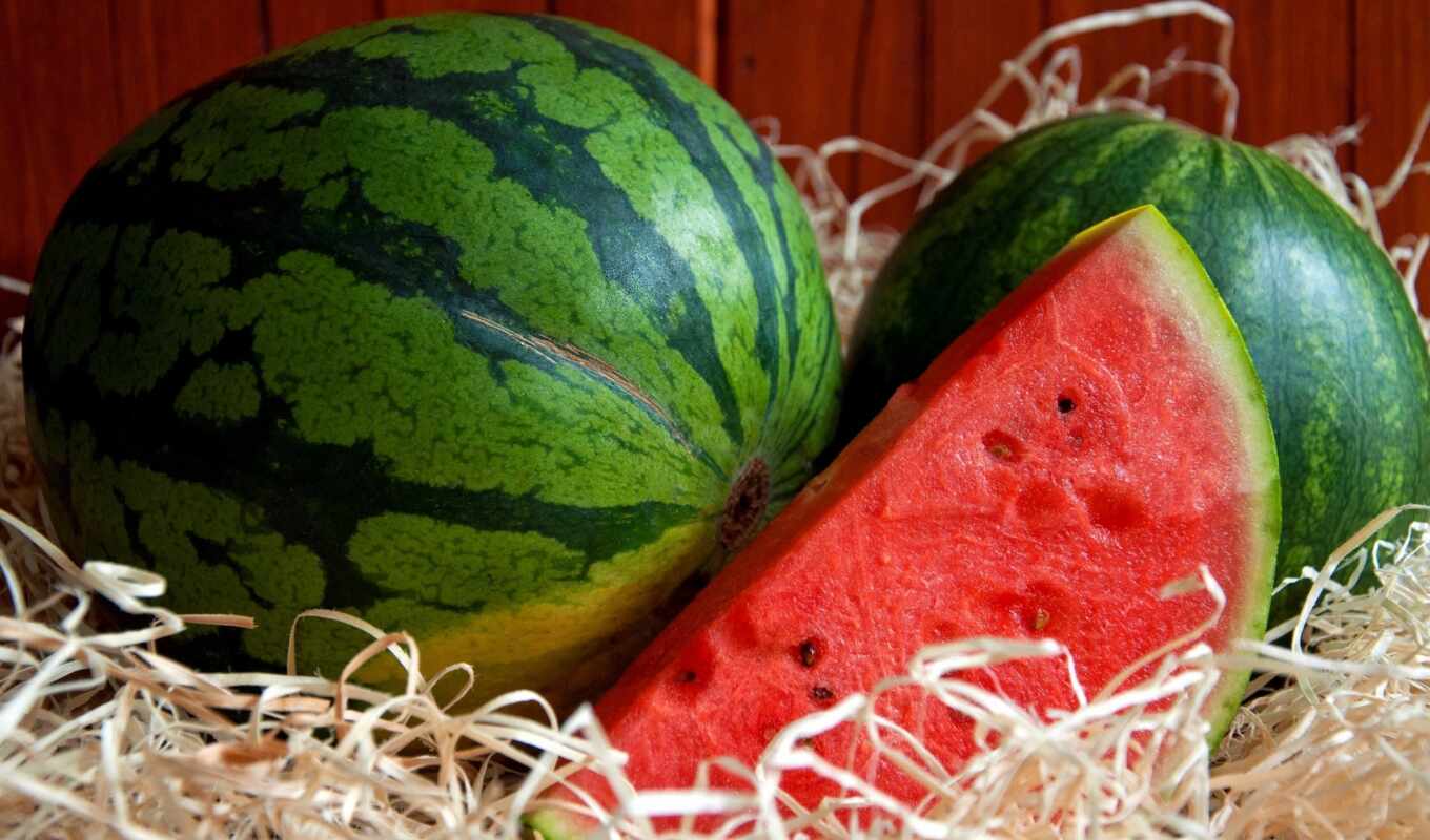 meal, picture, piece, watermelon, fruits, watermelons