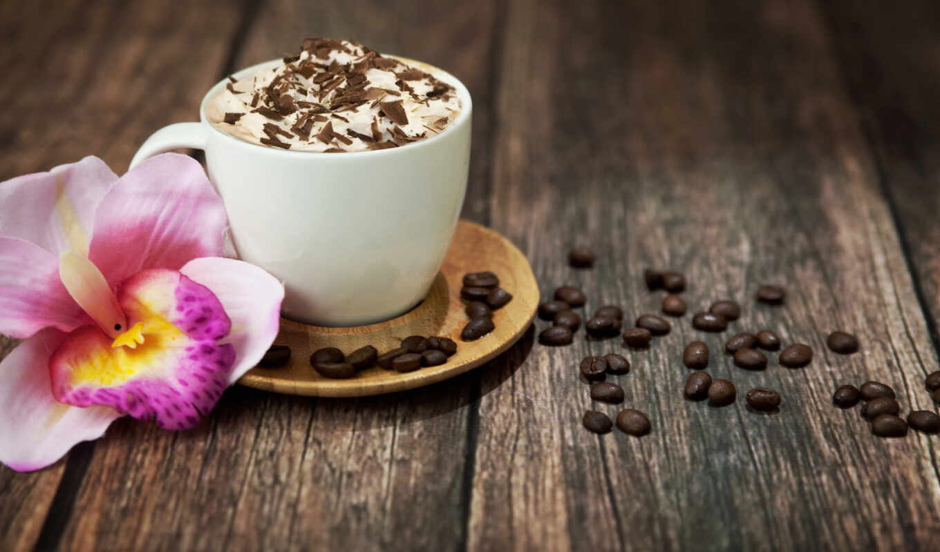 coffee, cup, напиток, seed, cappuccino