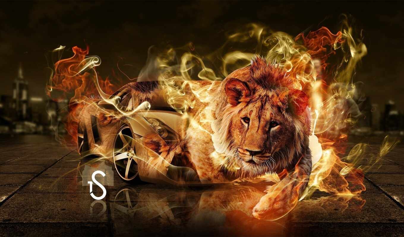 red, lion, tony, topic, fire, place, animal, fantasy, star, Leo, mod