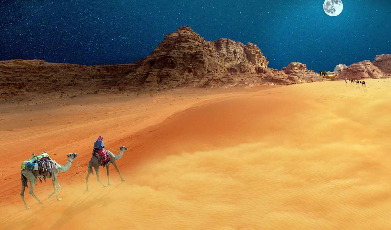 краска, landscape, bild, день, fantasy, пустыня, camel, pixabay, wüste, пирамиды