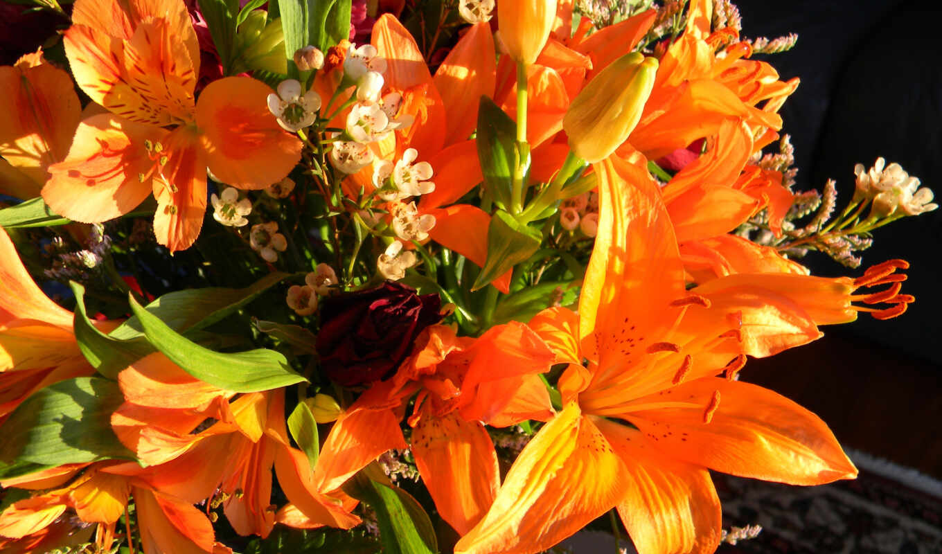 alstroemer, цветы, оранжевый, lily, parede, надежда, букет, планшетный, iosif