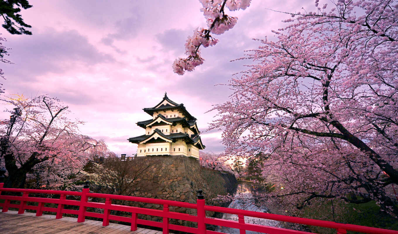 природа, castle, japanese, день, цветение, созвездие, rook, route, сакур, invite