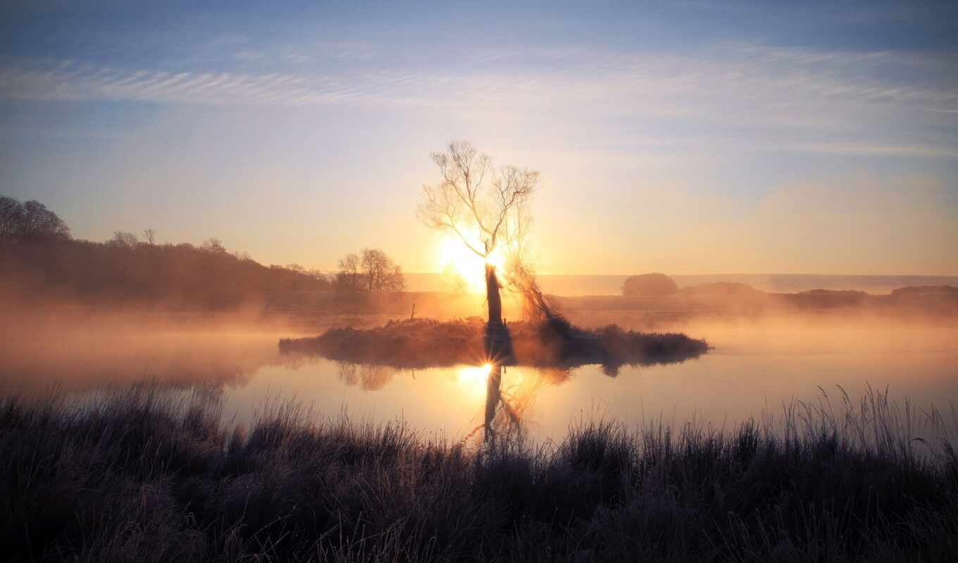 lake, sun, tree, sunset, sunrise, morning, fog, funart