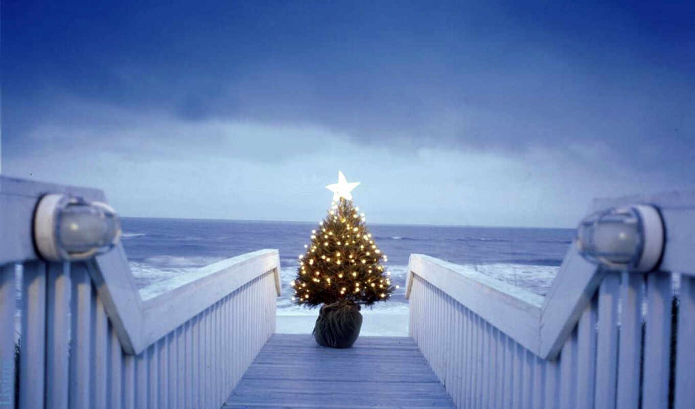 free, facebook, картинку, берегу, моря, beach, новогодние, with, christmas, размере, one, tree, się, просмотреть, реальном, gift, новогодней, обоей, 