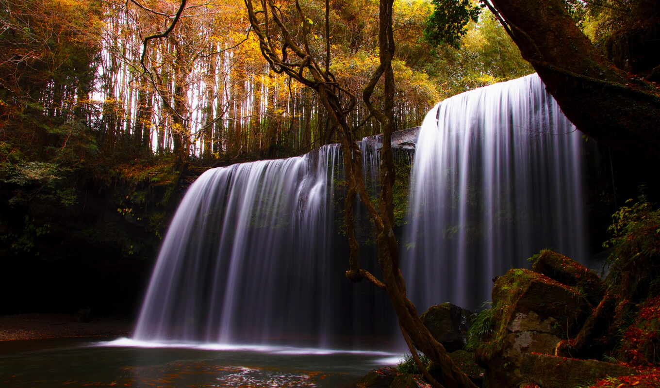 nature, forest, autumn, river, waterfall, trees