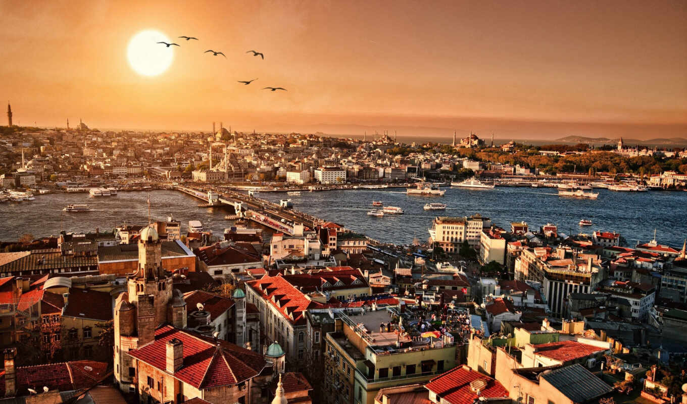 hotel, turkey, istanbul, education, турции, university, стамбуле, aydin