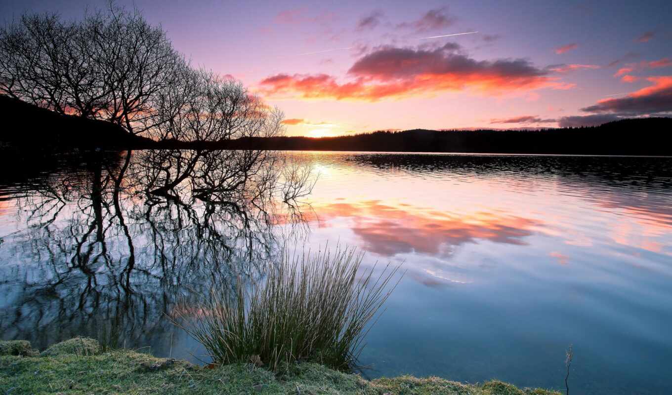lake, picture, tree, sunset, forest, evening, twilight, a shadow, trees, reflection