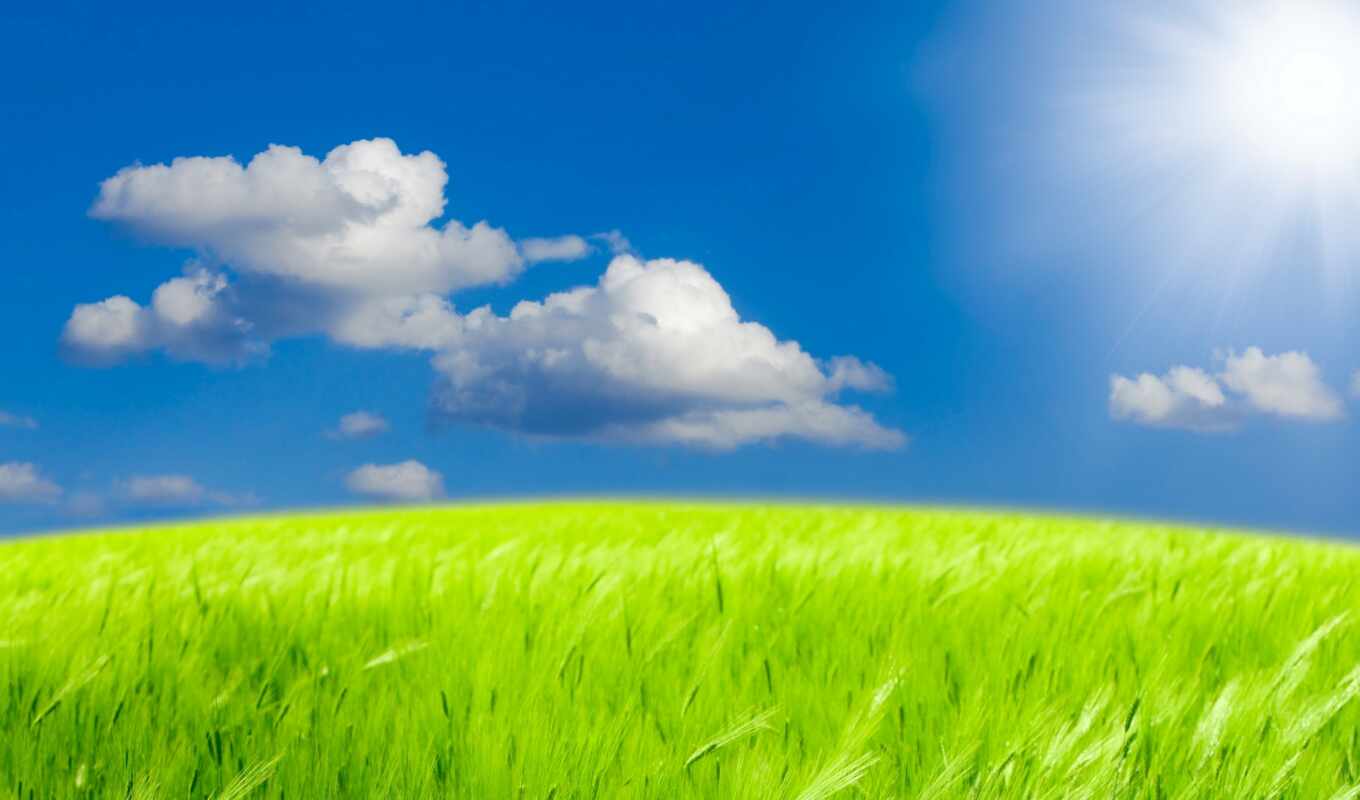 nature, sky, summer, sun, field, photoshop, photoshop, cvety, backgrounds, wheat, cloud