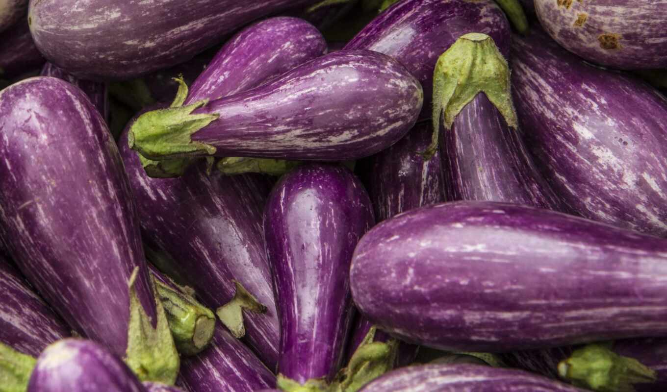 les, baby, eggplant, aubergines, font, qui, aliments, grossir