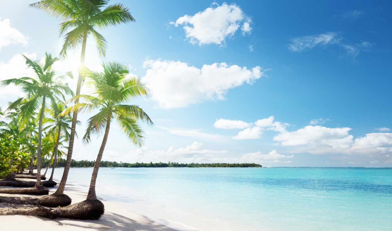 beach, sea, sand, palm trees, island, cloud, transparent