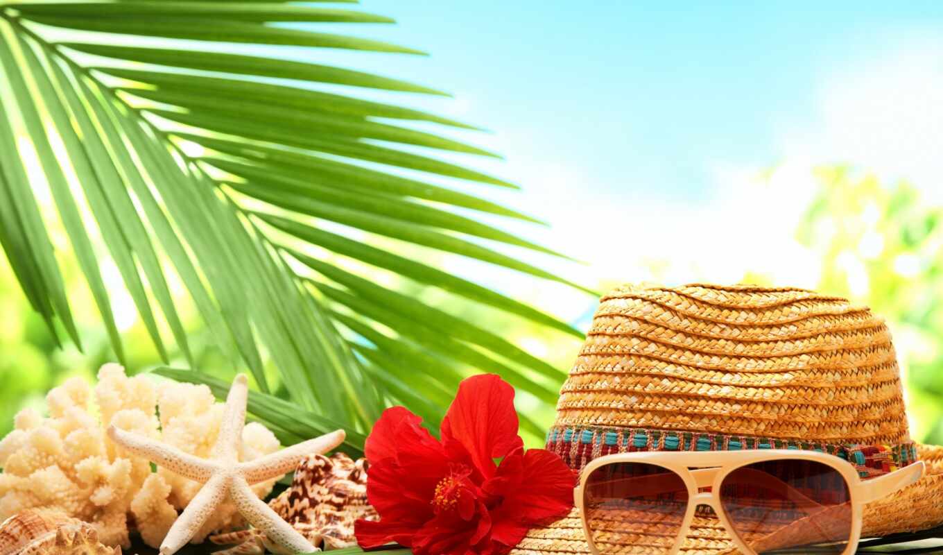 шляпа, цветы, пляж, море, palm