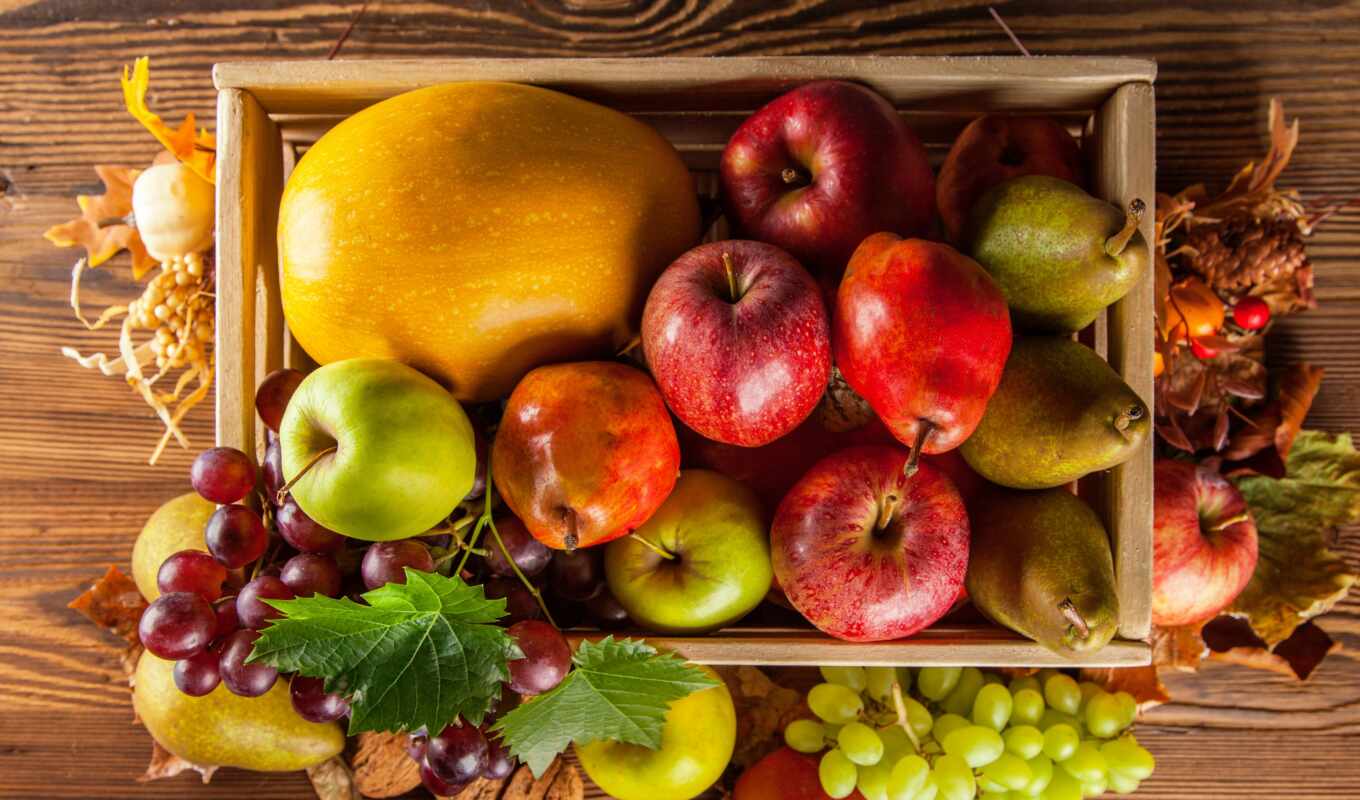 und, осень, тыква, урожай, фрукты, овощи