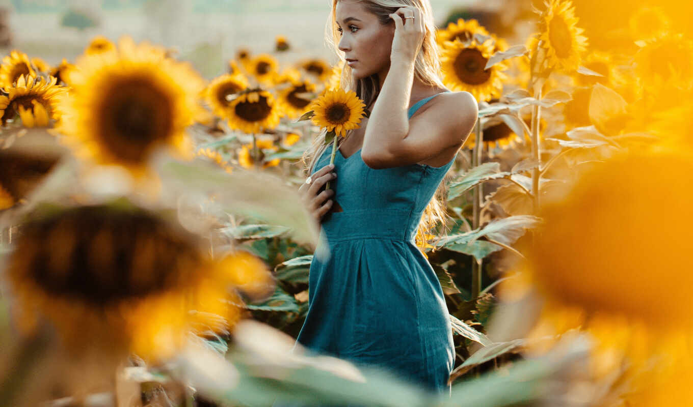photo, photo camera, flowers, summer, woman, blonde, sunflower, model, yellow, pro