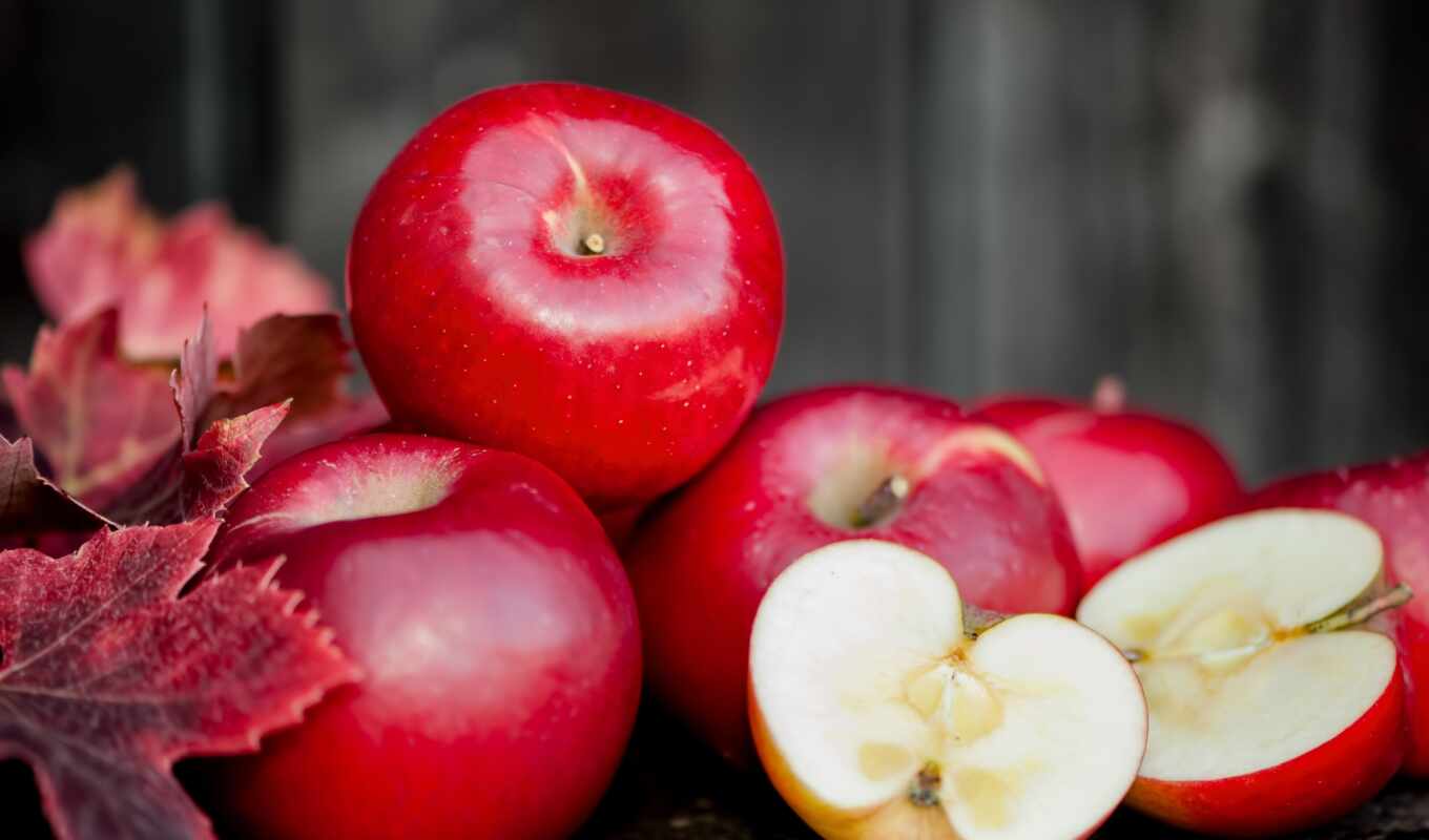 apple, free, red, fresh, autumn, organic, apples, apples, orchard